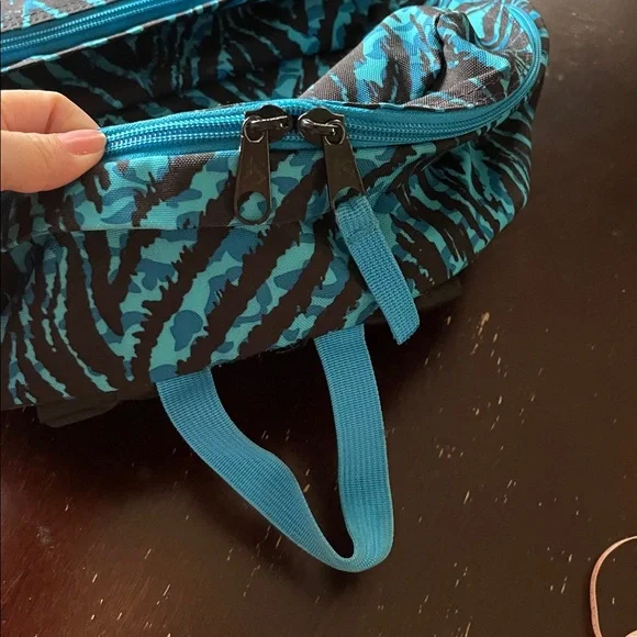 Unisex JanSport light weight Teal and Black Striped Backpack - Picture 3 of 10